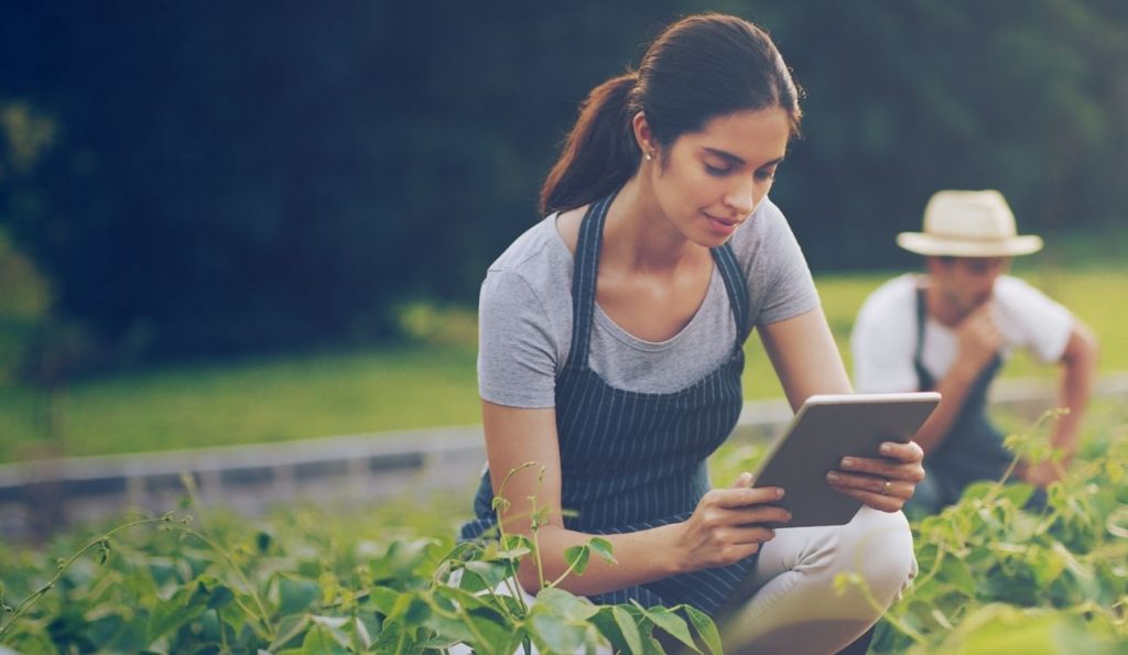 tecnología cambio climático